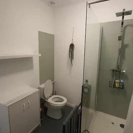 T2 47m2 Cosy&spacieux - Proche Gare - Lit Queen Size Et Netflix - Parking Gratuit Appartement Angoulême